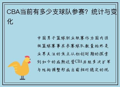 CBA当前有多少支球队参赛？统计与变化