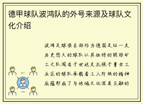 德甲球队波鸿队的外号来源及球队文化介绍